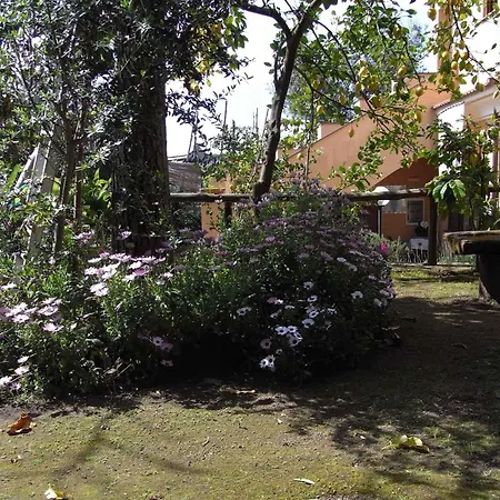3 Appartamento *
