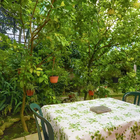 3 * Sorrento