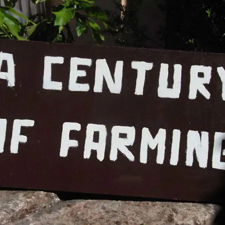 Appartamento 3 Sorrento