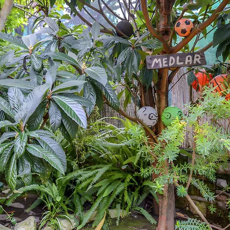 3 Διαμέρισμα *