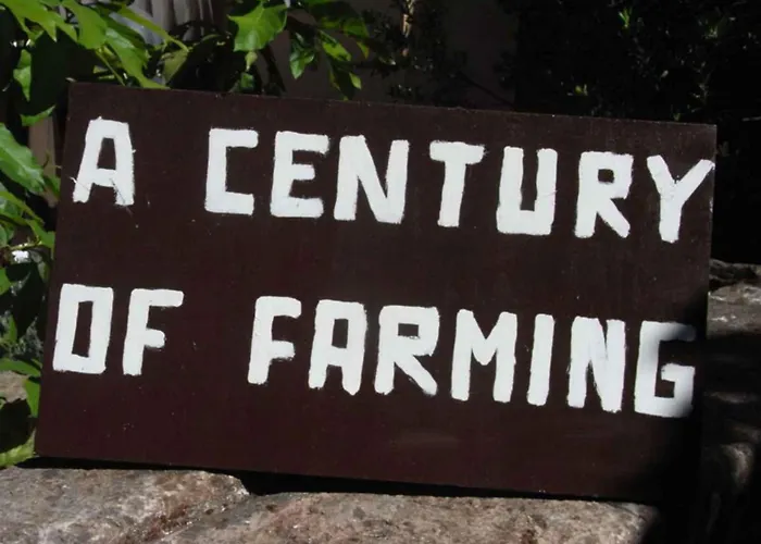 Appartement 3 Sorrente